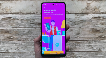 Moto G31 Pantalla 02
