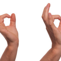 Agosto, el mes perfecto para realizar las pruebas en la empresa