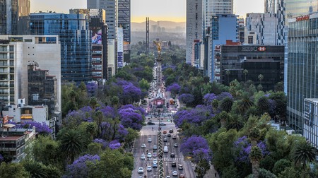 Cdmx Hoy No Circula 21 Marzo 2026