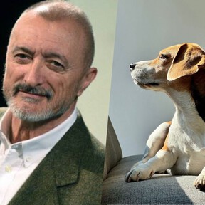 Arturo Pérez-Reverte, escritor, sobre el amor a los perros: "Nunca conocí entre los seres humanos, como en los cinco perros pasaron por mi vida, un amor tan desinteresado y tan leal. Tan conmovedoramente fiel"