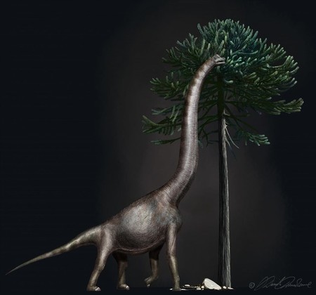Con un metro de ancho, éste es el pie más grande jamás encontrado de dinosaurio