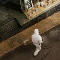 El hantavirus iba a llegar a Europa antes o después y, como siempre, nos ha pillado en fuera de juego 