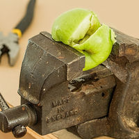 Diciembre, el mes clave para medir la productividad en muchas empresas