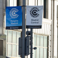 La DGT cree que si se fulmina Madrid Central "haríamos el ridículo" y "nadie en Europa lo entendería"