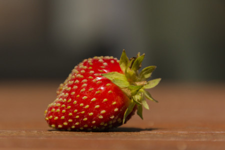 Éstos son algunos de los clones de alimentos que consumes cada día