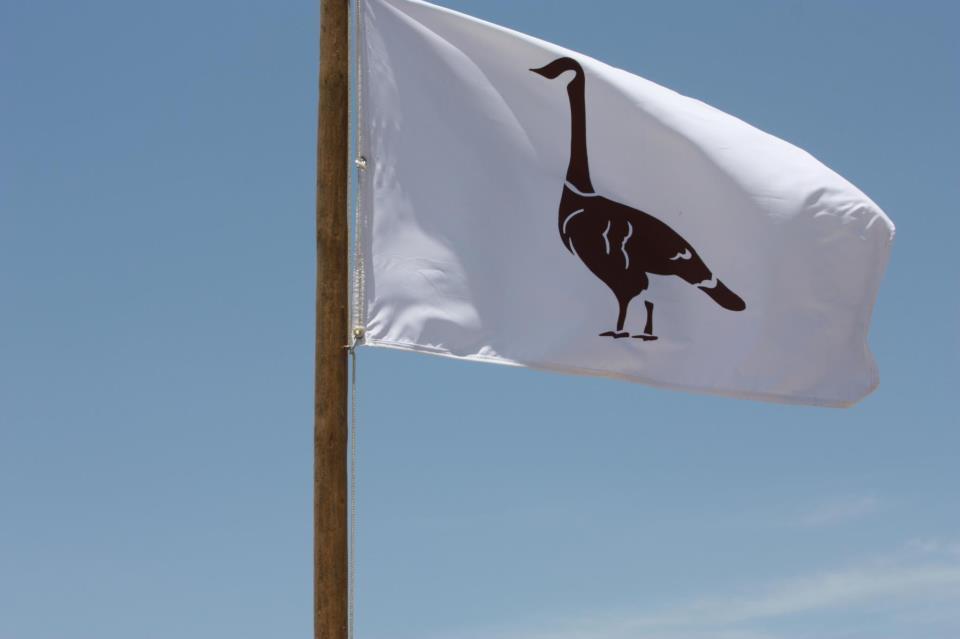 Foto de El Ganzo Hotel (32/36)