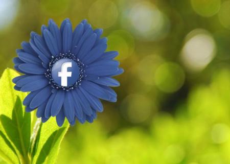 ¿En qué estado de salud te encuentras? Facebook también quiere saberlo, según Reuters
