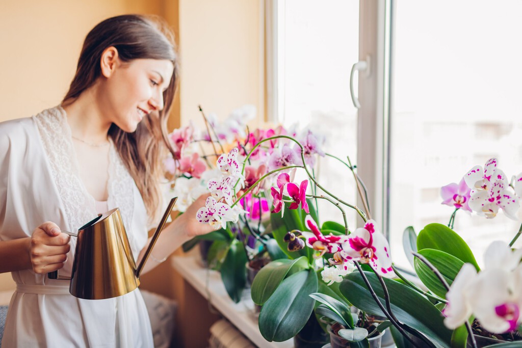 Con este simple ingrediente obrarás un "milagro" en tus orquídeas: una especia muy común de casa que revitaliza nuestras plantas 