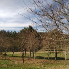 Foto 13 de 19 de la galería wiko-ridge-4g-camara en Xataka Android