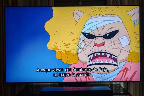 Photo 2025 11 28 14 09 59 2