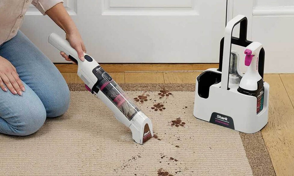 Shark tiene rebajado un quitamanchas sin cables que viene de lujo para limpiar alfombras o manchas en el sofá 