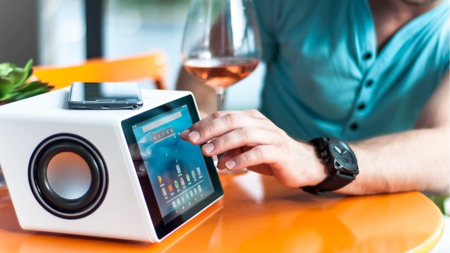 Sproutbox Design Aivia Smart Speaker