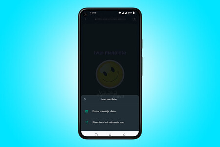 Ya puedes mandar callar a alguien en las llamadas de WhatsApp