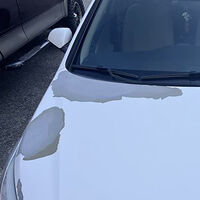 El misterio del color más utilizado en el mundo para pintar coches: nadie sabe por qué se pela la pintura blanca 