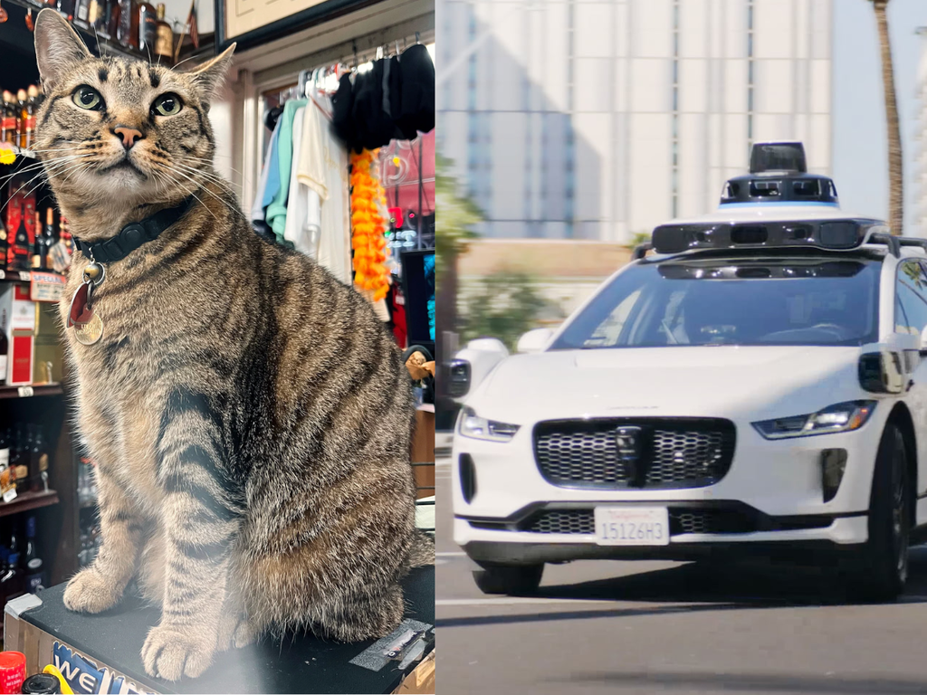 Táxi da Waymo mata gato em viagem e revolta habitantes de São Francisco que questionam segurança de veículos que dirigem sozinhos 