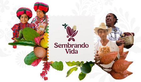 Programa Sembrando Vida