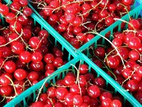 Segmentar mediante el comportamiento