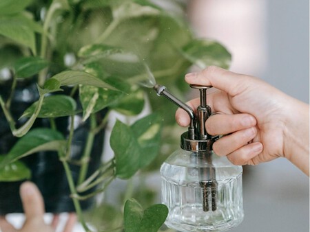 Copia De Plantilla 1200x900 13