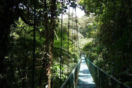 Costa Rica Anabel Palomares 23