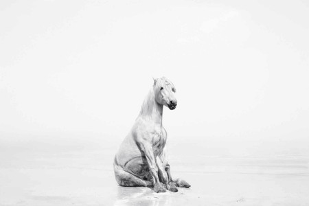 'Los unicornios existen', la última serie de Isabel Muñoz