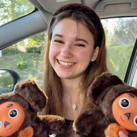 Rusia ha entrado en una nueva guerra, pero la gran diferencia es que esta vez es interna y tiene como protagonista a un Mickey Mouse de Hacendado