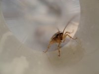 ¿El miedo es una buena herramienta publicitaria?