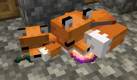 Minecraft Zorros Durmiendo