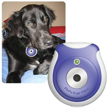 Pet´s Eye View, una cámara para tu perro
