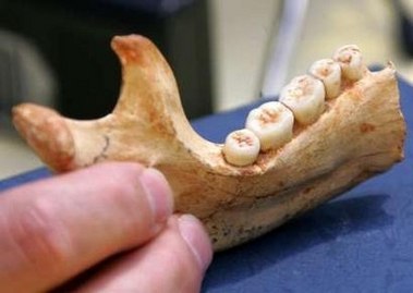 La lactancia en Atapuerca
