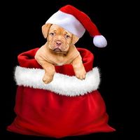 ¿Cómo compramos los regalos de Navidad en 2017? 