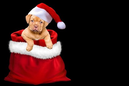 ¿Cómo compramos los regalos de Navidad en 2017?