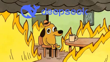 Deepseek Fire