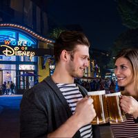 Disney cada vez diseña sus parques pensando menos en tus hijos y más pensando en los adultos. Mirando la natalidad se entiende perfecto