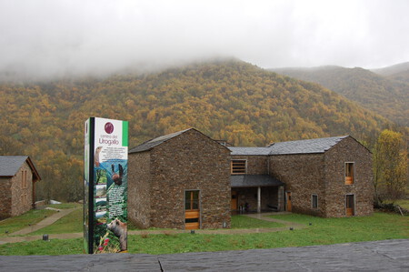 Centro Urogallo