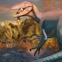 Descubren en el sur de Argentina un dinosaurio con su última presa fosilizada entre los dientes: su especie podría ser de las sobrevivientes finales antes de la extinción masiva 