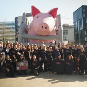 La plataforma 'End The Cage Age' lleva a la Comisión Europea a juicio por no prohibir las jaulas en la ganadería industrial 