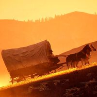 Hay un survival de mundo abierto que sueña con el éxito que el online de Red Dead Redemption 2 no tuvo, y su primer tráiler apunta algo