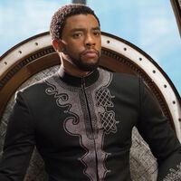 La muerte de Chadwick Boseman obligó a cambiar los planes de Marvel. El director de 'Black Panther 2' ha contado por fin cuál era la historia original