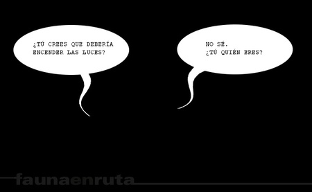 fauna en ruta: los sin luces