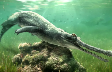 Reprodução de como seria o Herugavialis cairensis,