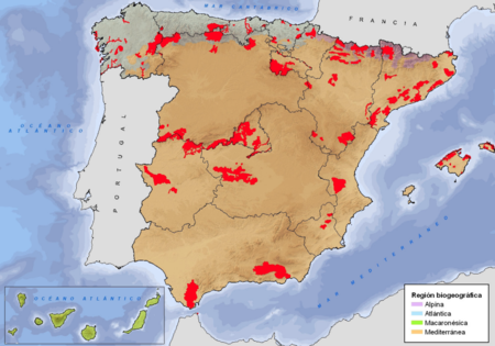 Captura De Pantalla 2026 01 13 A Las 11 35 11