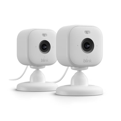 Blink Mini 2 (2 pack)