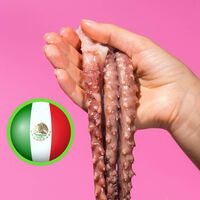 México sigue a Chile y presenta una ley federal para prohibir las granjas de pulpos