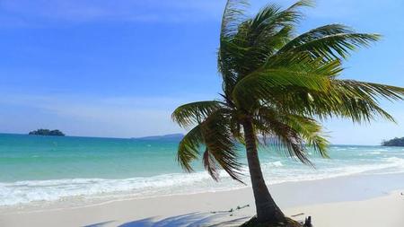 Compañeros de ruta: playa, montaña, campo o ciudad. Lo importante es viajar