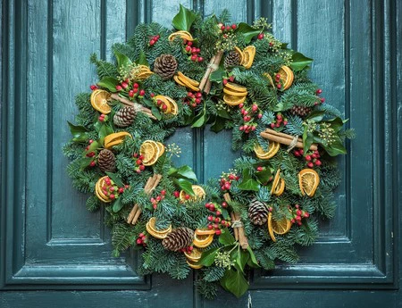 ¿Te animas? 5 especies vegetales para decorar tu casa esta Navidad