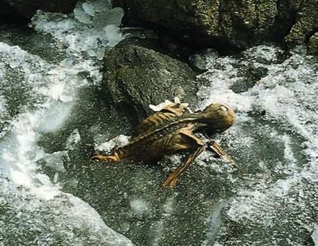 Ötzi, un personaje de ‘Sexo en Nueva York’ venido de la Edad de Piedra (y II)