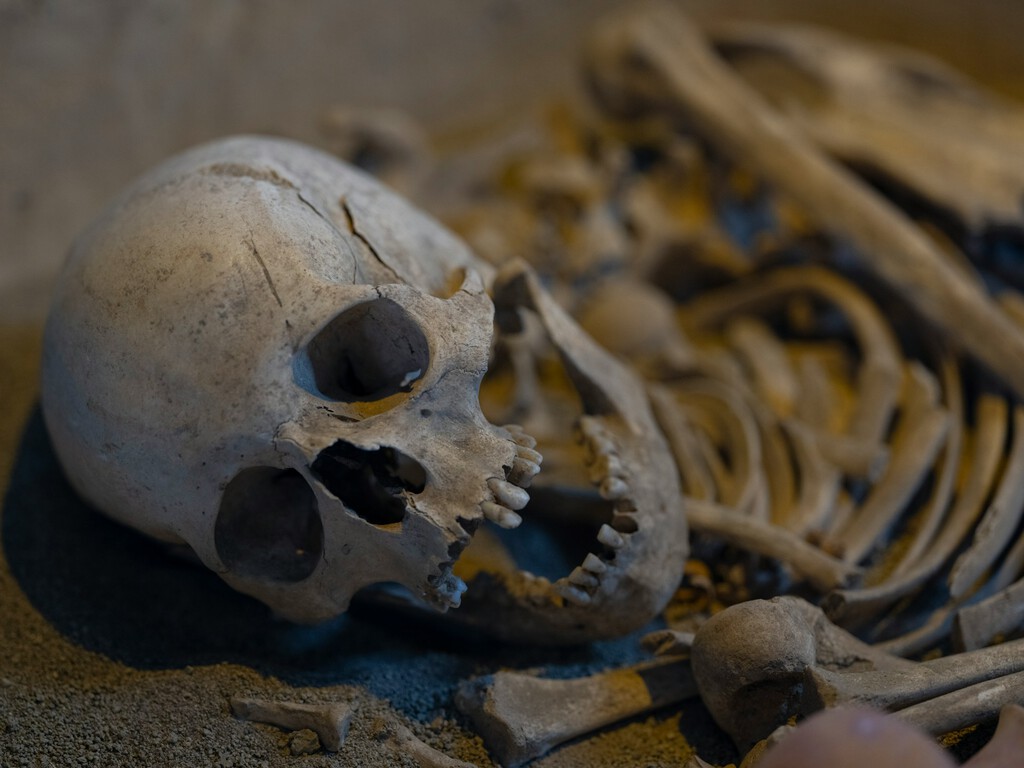 La prehistoria también era 'woke': una mujer de hace 7.000 años sugiere que el género no era una barrera inamovible