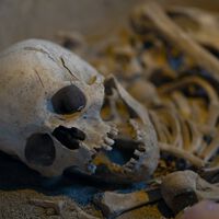 La prehistoria también era "woke': una mujer de hace 7.000 años sugiere que el género no era una barrera inamovible