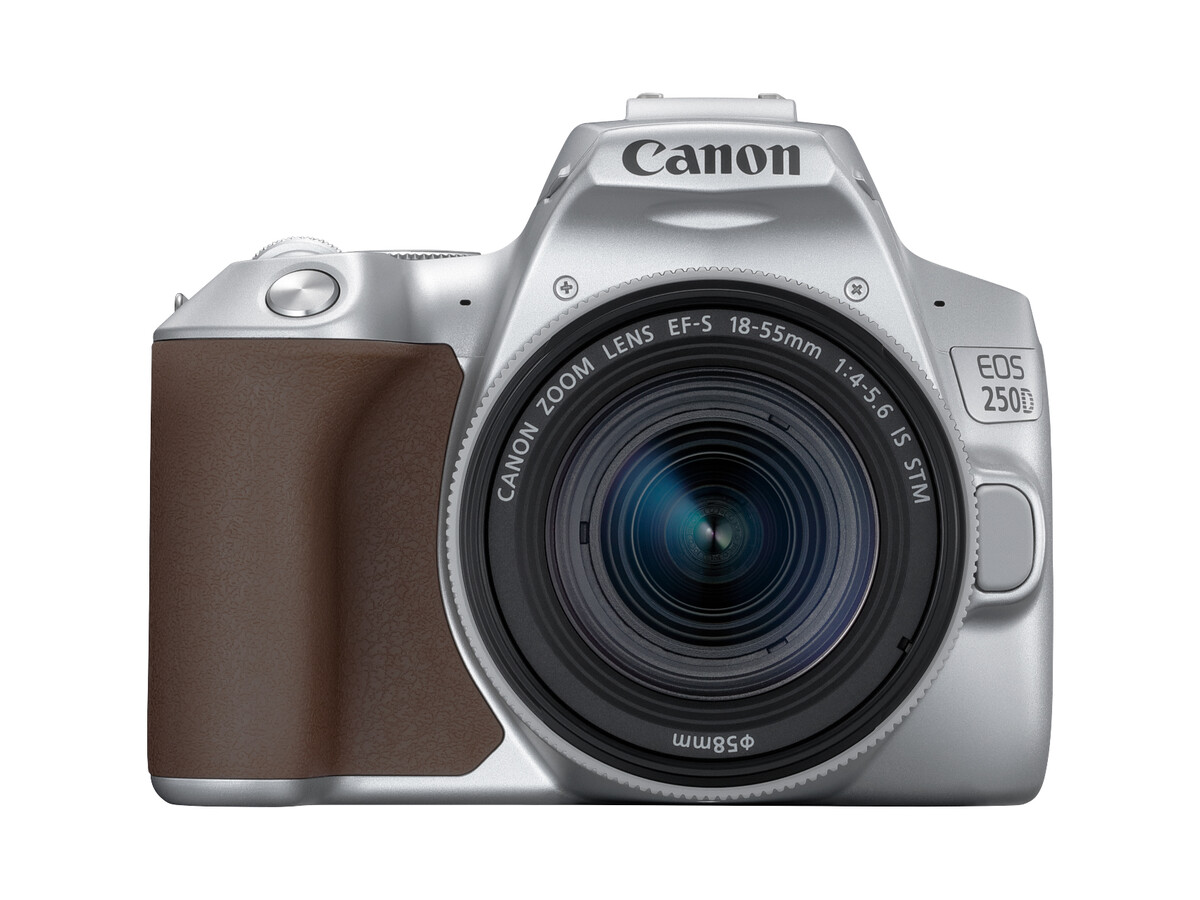 canon 250d canon 24 mp dslr