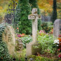 Todavía gastamos más en flores para los difuntos que en Halloween, pero la crisis energética y el relevo generacional podría cambiarlo